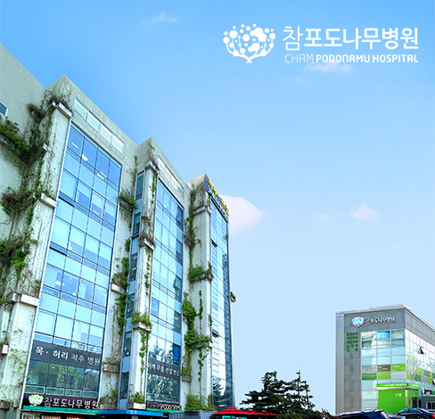 서초구 양재1동 정형외과 유명하고 잘하는 곳 추천 TOP 5