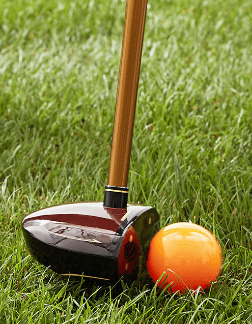 데이비드 DP101 (초보자~중급자용)