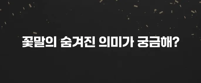 내 마음을 전해요! 꽃말 종류별 의미 총정리 (선물 가이드)