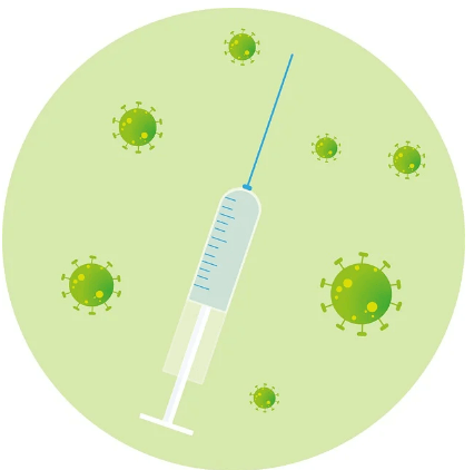 2025 인플루엔자 예방접종