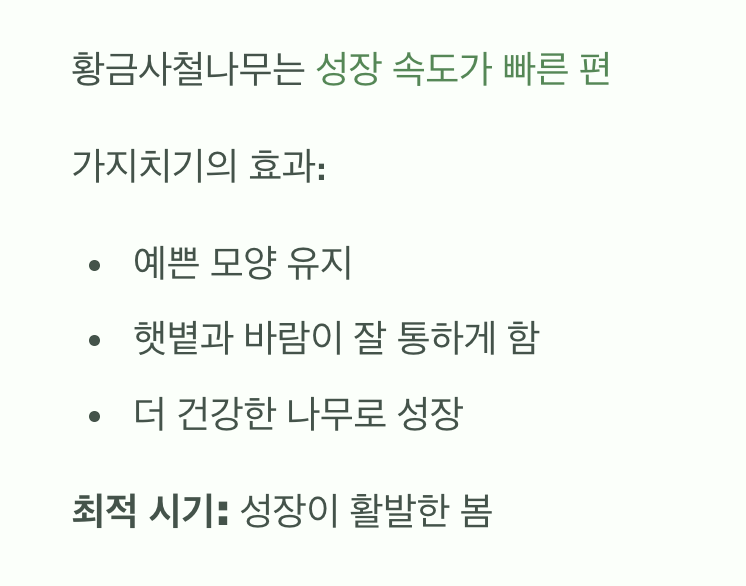 깔끔한 수형을 위한 즐거운 가위질