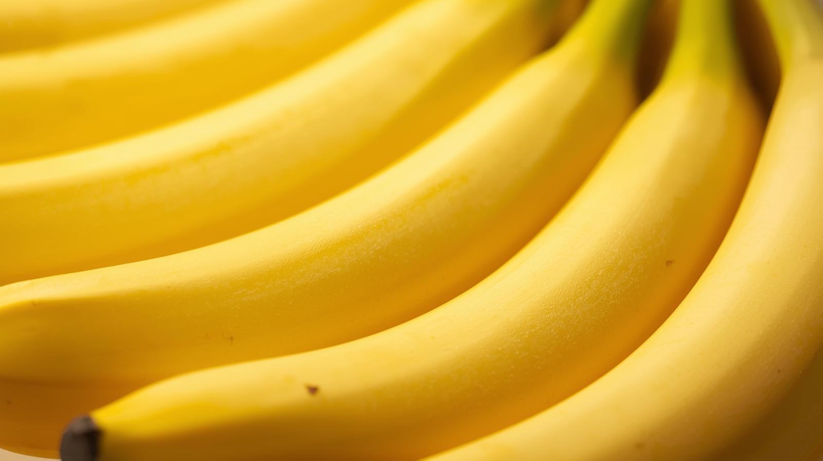 위궤양에 좋은 음식