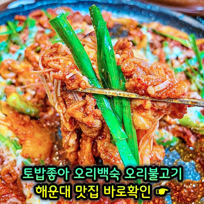 부산 해운대 맛집 무항생제 1등급 오리 백숙