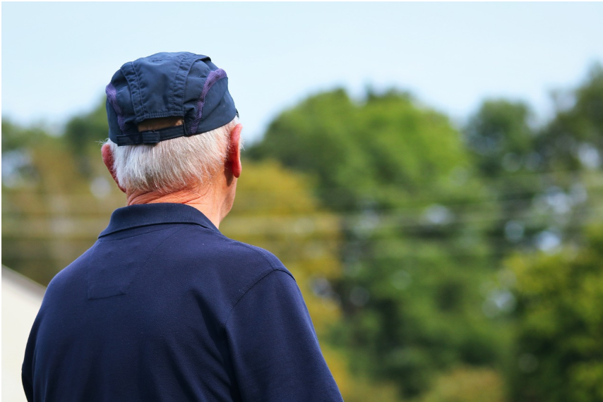 노인 일자리, 정부가 지원하는 공공형 직업