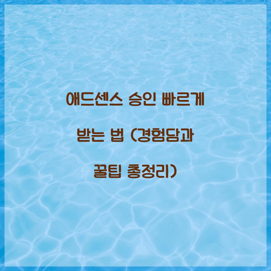 애드센스 승인 빠르게 받는 법