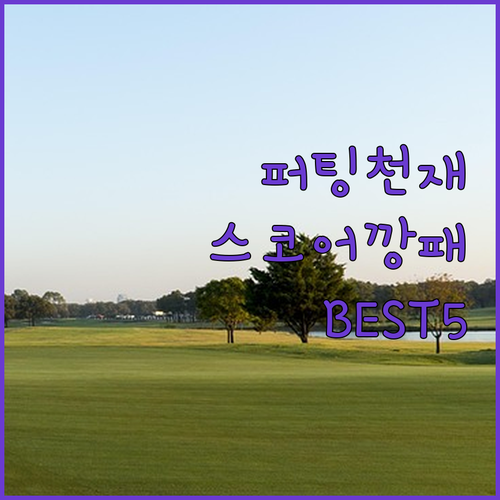 실전 스코어 줄이는 홈스크린 골프 퍼..