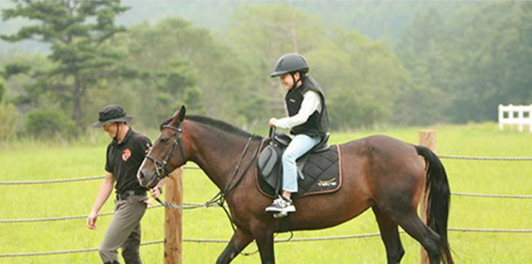 대관령 하늘목장