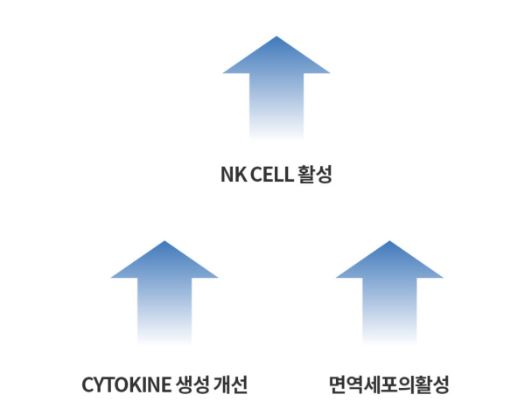 애터미-헤모힘-효능