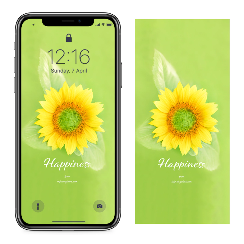 02 해바라기 연두색 C - Happiness 돈들어오는배경화면