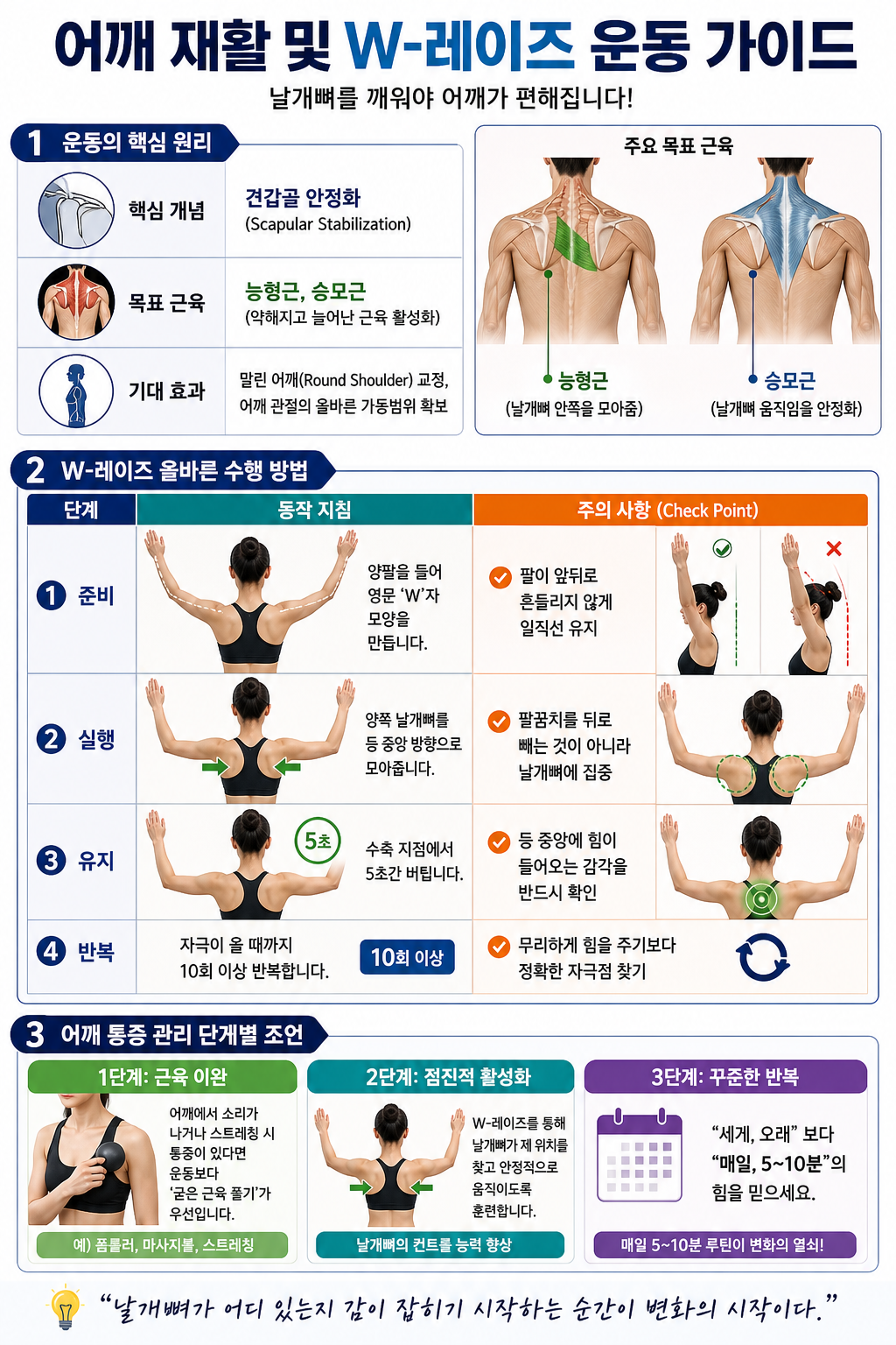 어깨 재활 및 W-레이즈 운동 가이드