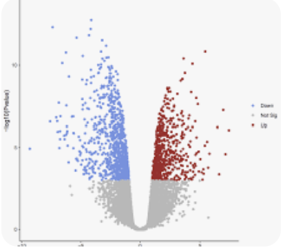 Volcano plot이 진실을 가리는 방식