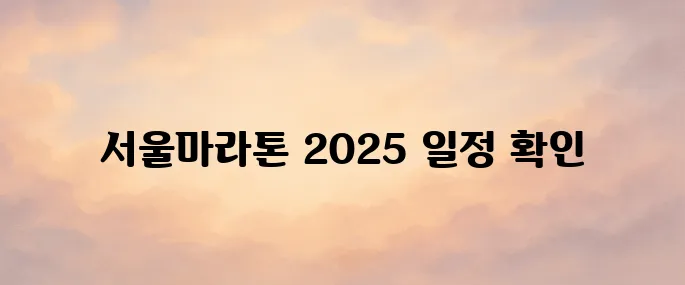서울마라톤 홈페이지 바로가기│2025 대회 일정·참가 신청 안내