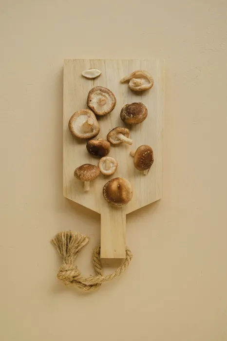 도마-위에-있는-표고버섯