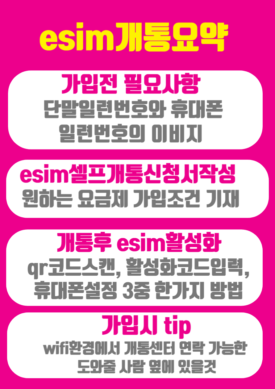 esim개통 요약 사진