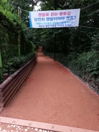 황토길 맨발걷기 효능 부작용 무좀_15