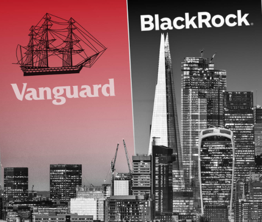 Vanguard vs BloackRock