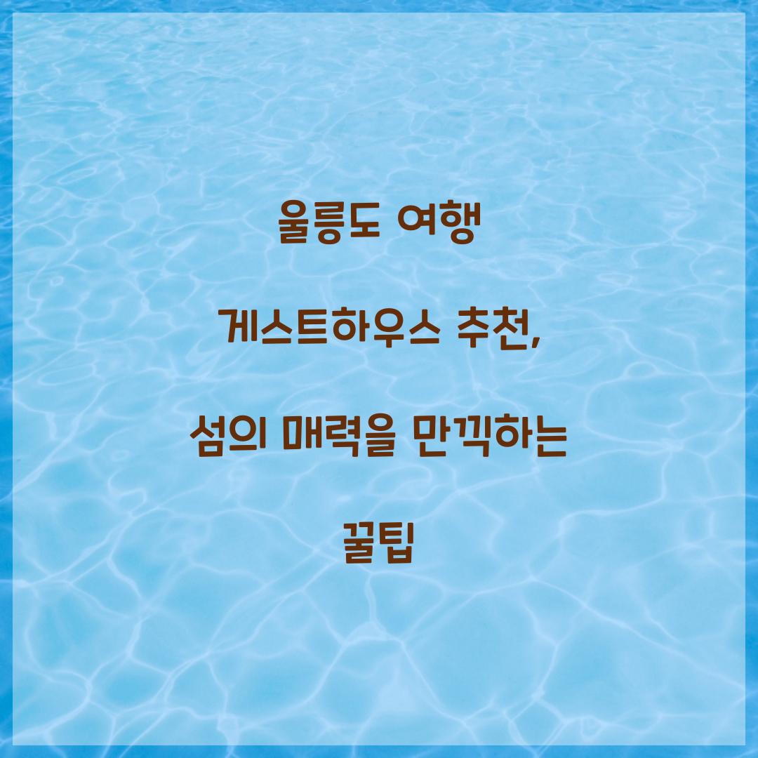 울릉도 여행 게스트하우스 추천