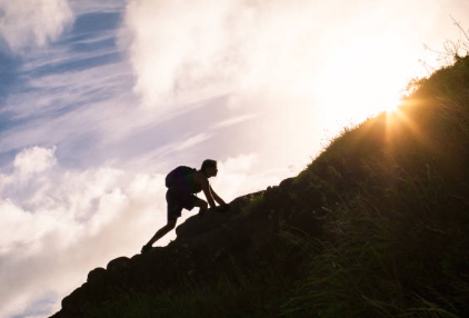 타우린 효능 총정리