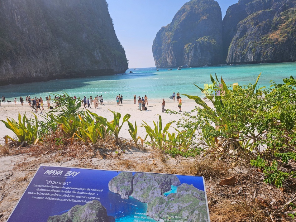 푸켓 스노클링, 피피섬 마야섬 몽키 비치 카이섬 투어 리뷰 코스 가격