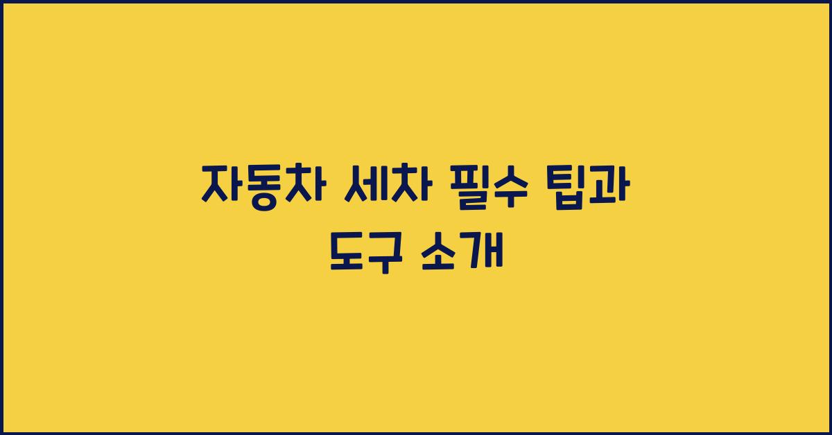 자동차 세차