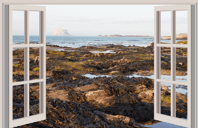 마이코플라즈마 폐렴 치료