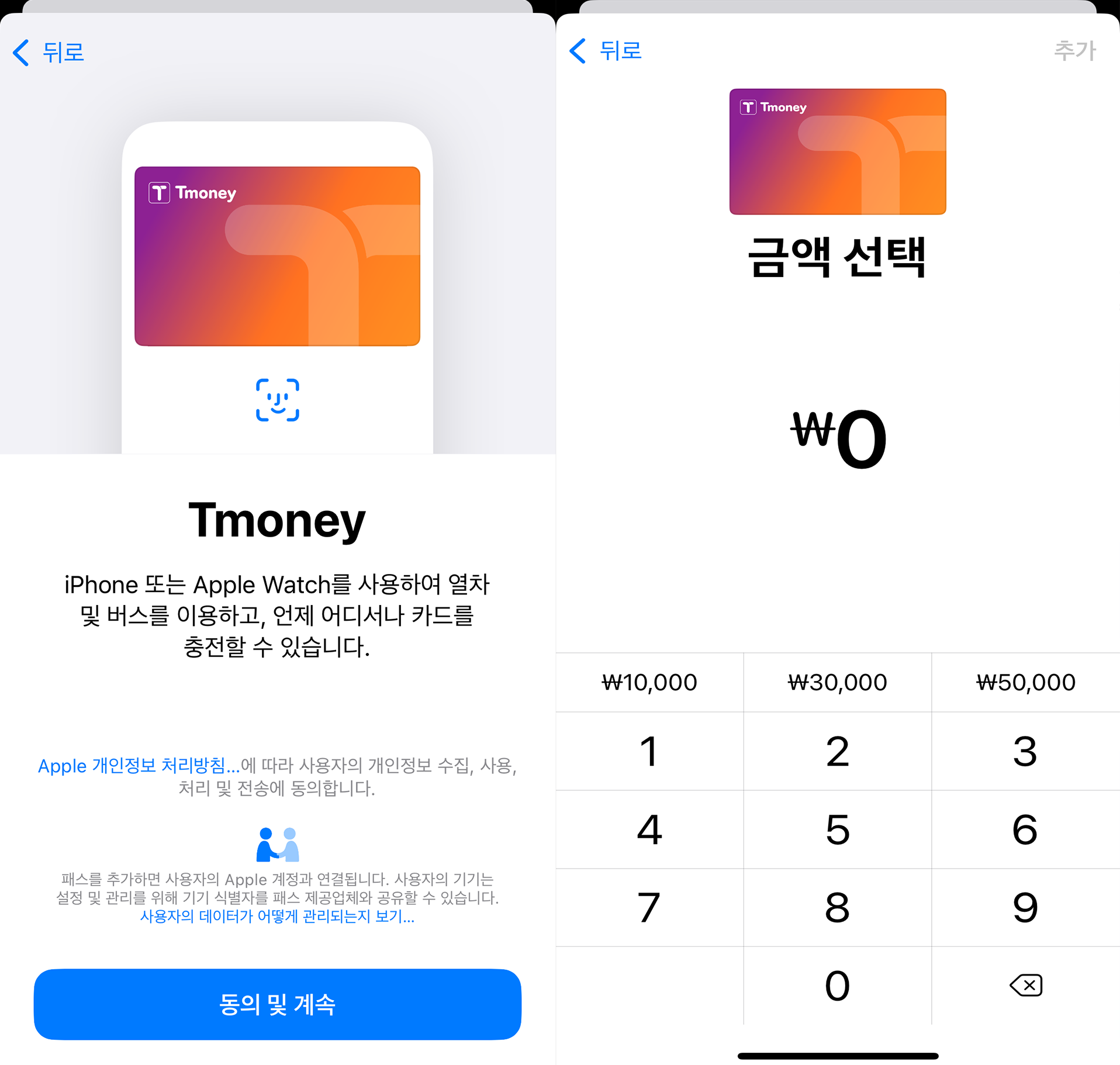 애플페이 - 티머니 교통카드 - 충전