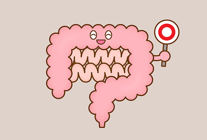 건강한-장의-모습