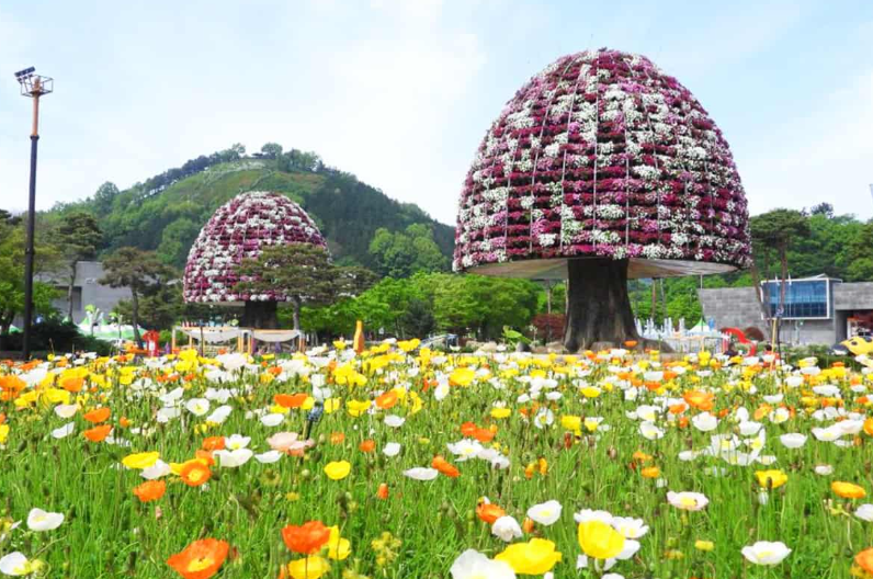 2026 함평 나비대축제 입장권 10% 할인예약 방법 프로그램 일정