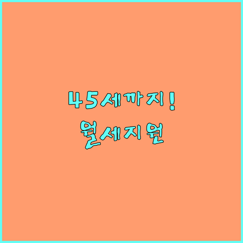 만 45세까지 확대 구례군 청년월세 ..