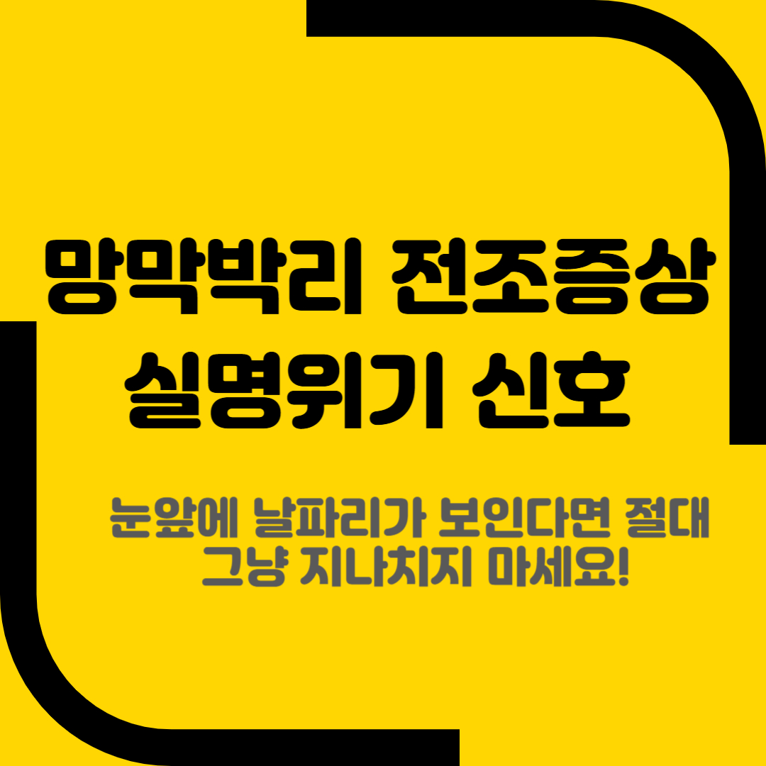 망막박리 전조증상 실명위기 신호