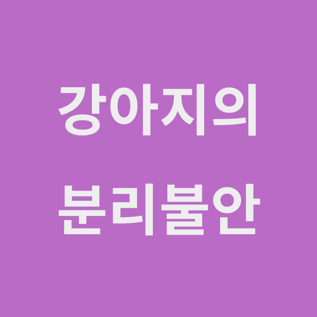 강아지의 분리불안 이미지