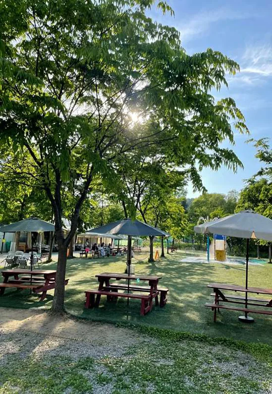 숲266 셀프바베큐장