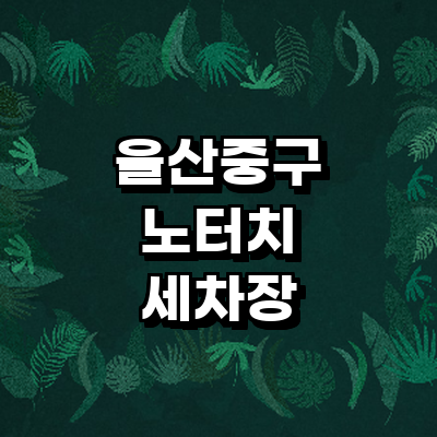울산 중구 노터치 세차