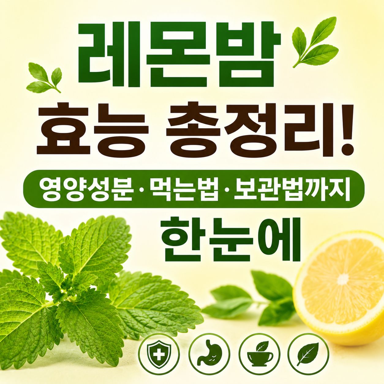 레몬밤 효능