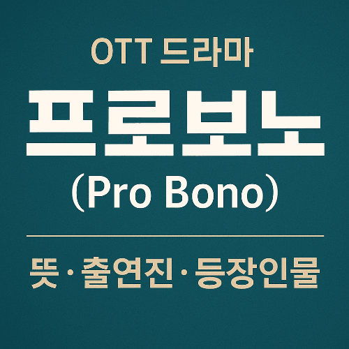 tvN 드라마 프로보노(Pro Bono) 뜻, 줄거리, 출연진 총정리