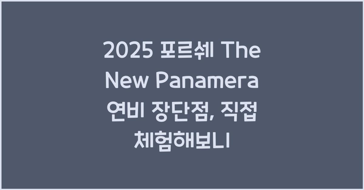 2025 포르쉐 The New Panamera 연비 장단점
