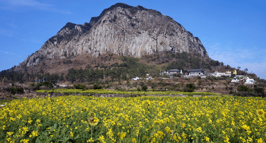 제주도 서쪽 가볼만한곳