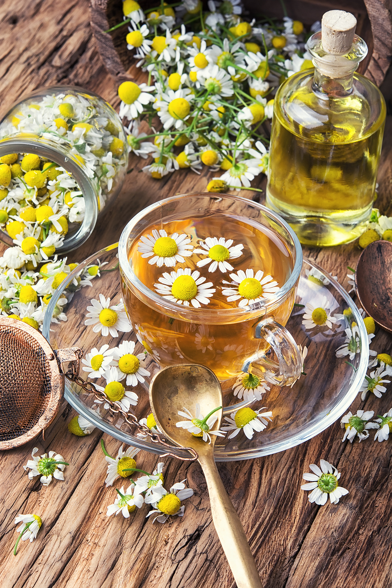 캐모마일차 효능