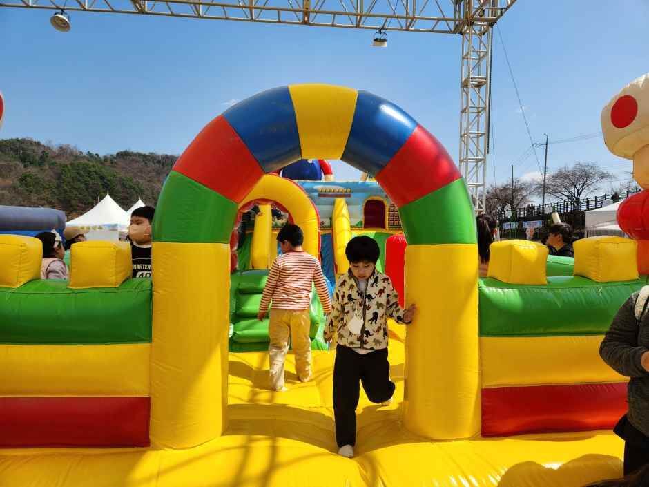 보은 벚꽃길 축제 2026 완벽 가이드
