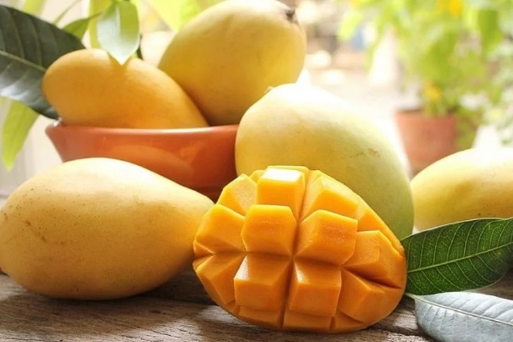 망고를 후숙시키는 방법