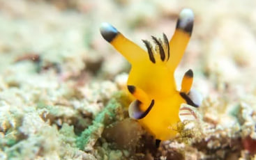 근로자 휴가 지원사업 참여 대상자 요건&amp;#44; 참여기업 혜택