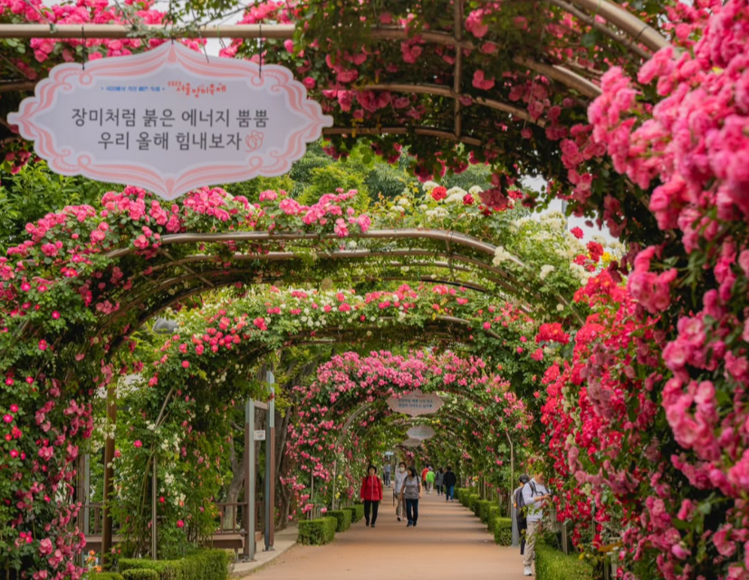 서울 중랑장미공원