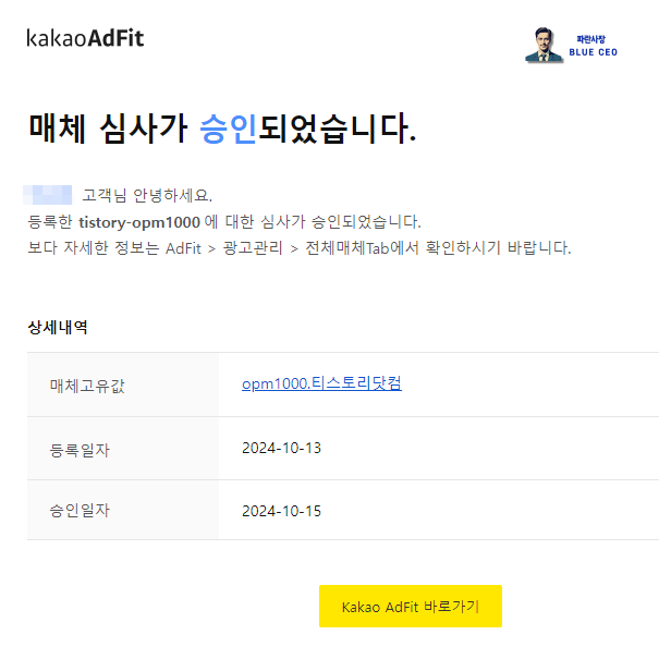 카카오애드핏-광고-2수-합격-인증