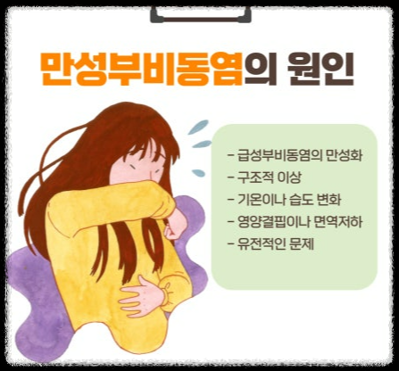 만성부비동염 근본술
