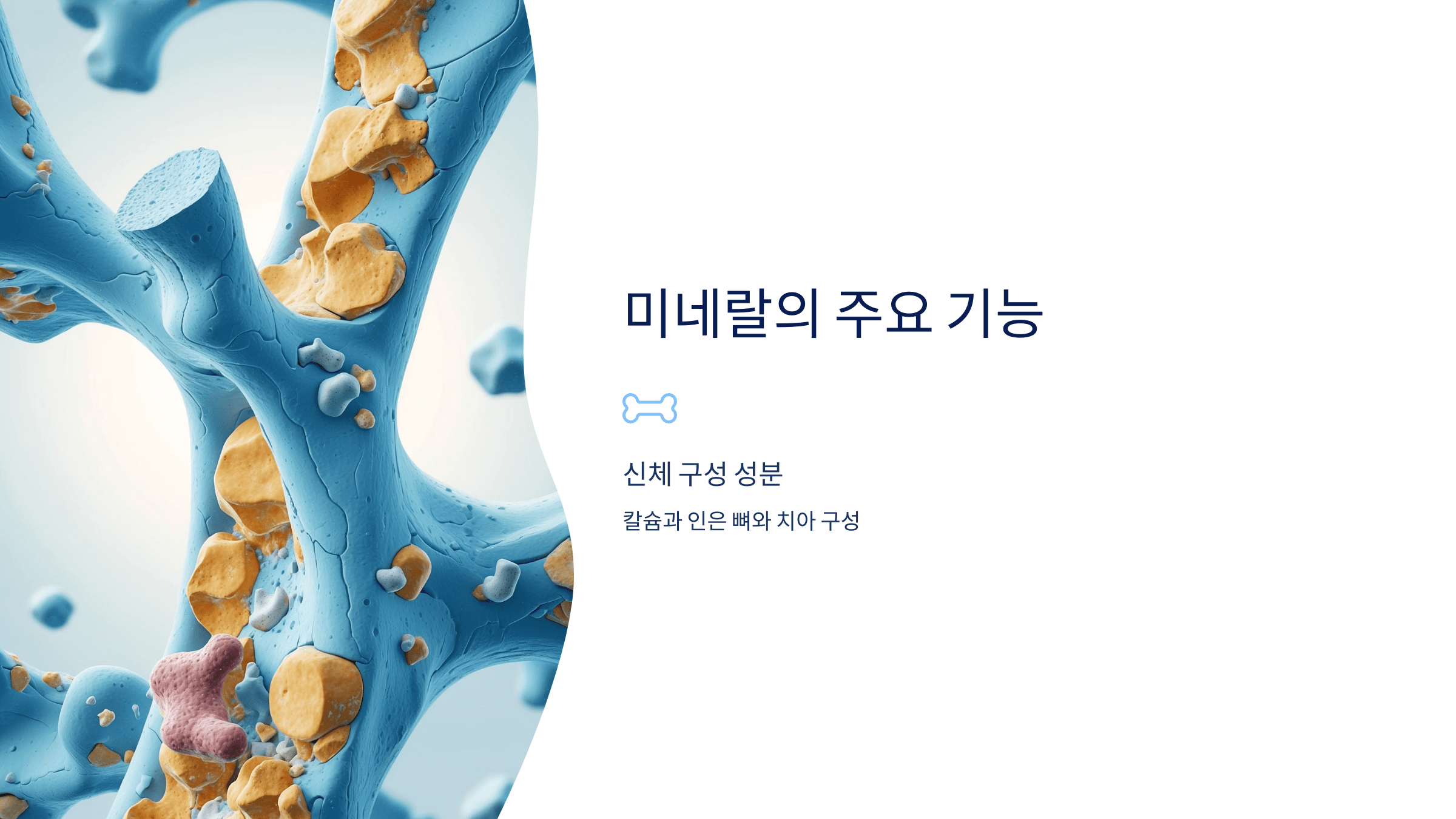 미네랄과 관련된 사진입니다.