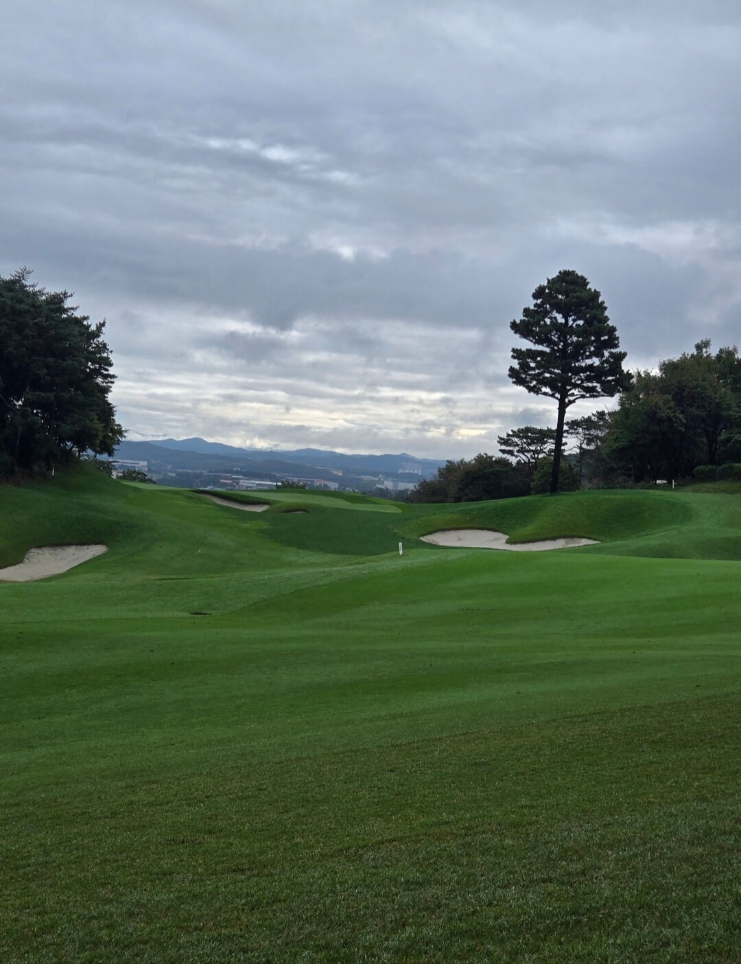 사우스스프링스CC 마운틴코스 페어웨이