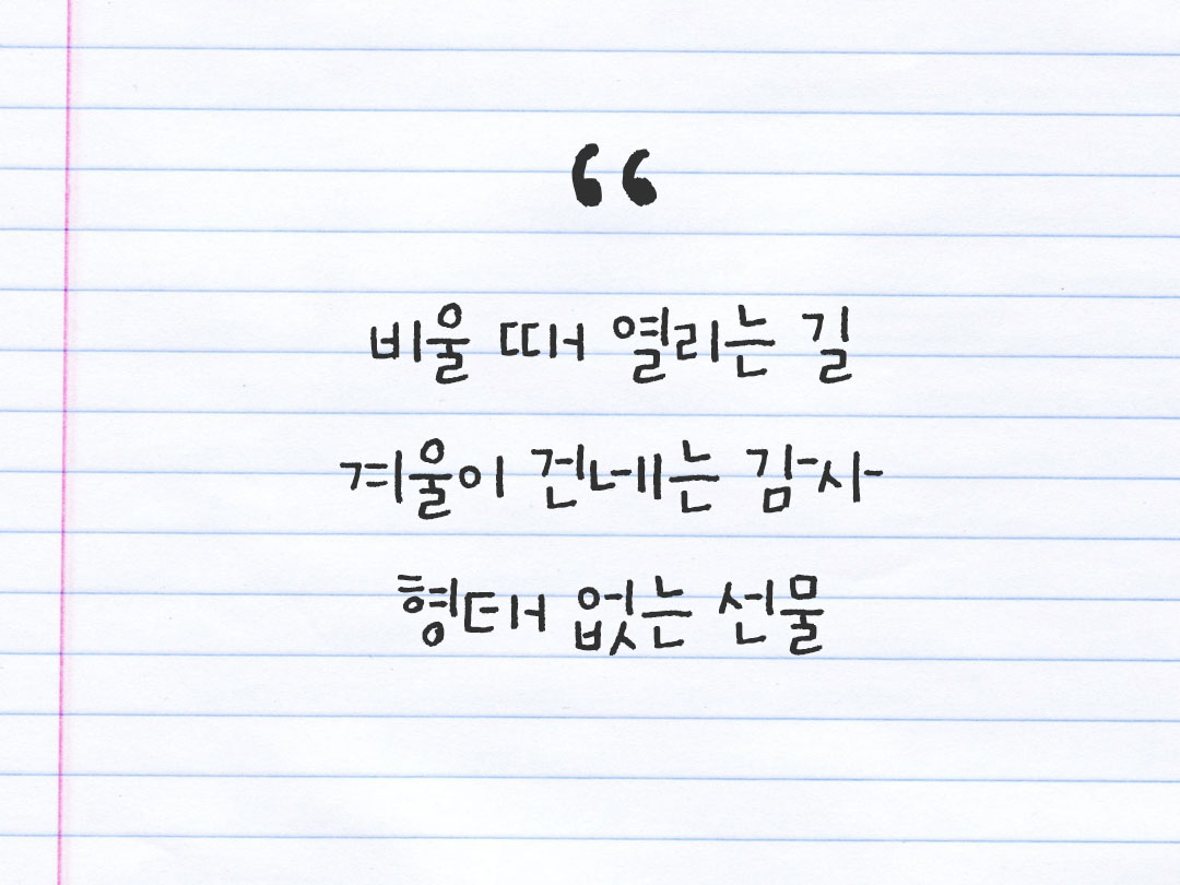 2025년 12월 28일 피어나네 감사노트|일상을 행복으로 바꾸는 기록 하루 3줄 감사일기