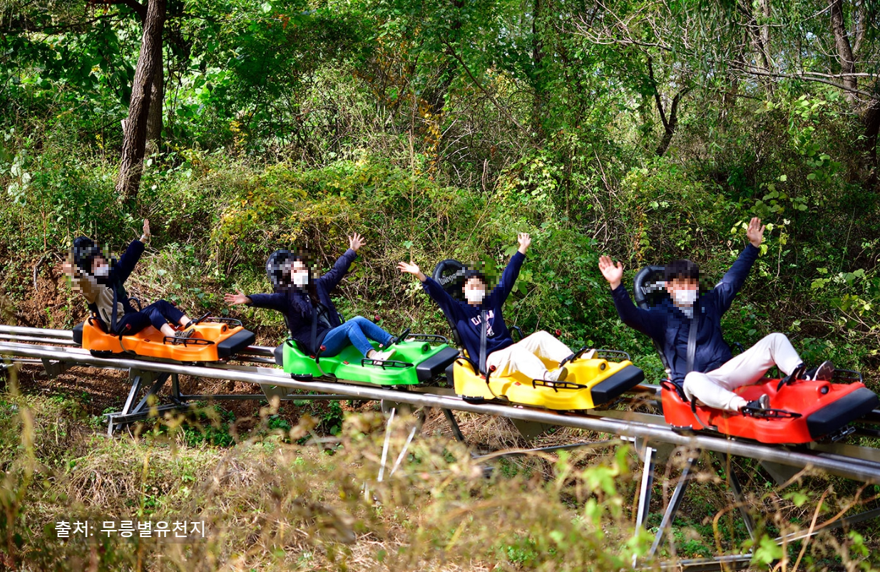 강원도 동해 가볼만한 곳 무릉별유천지 완전정복! 루지부터 짚라인까지 액티비티 총정리