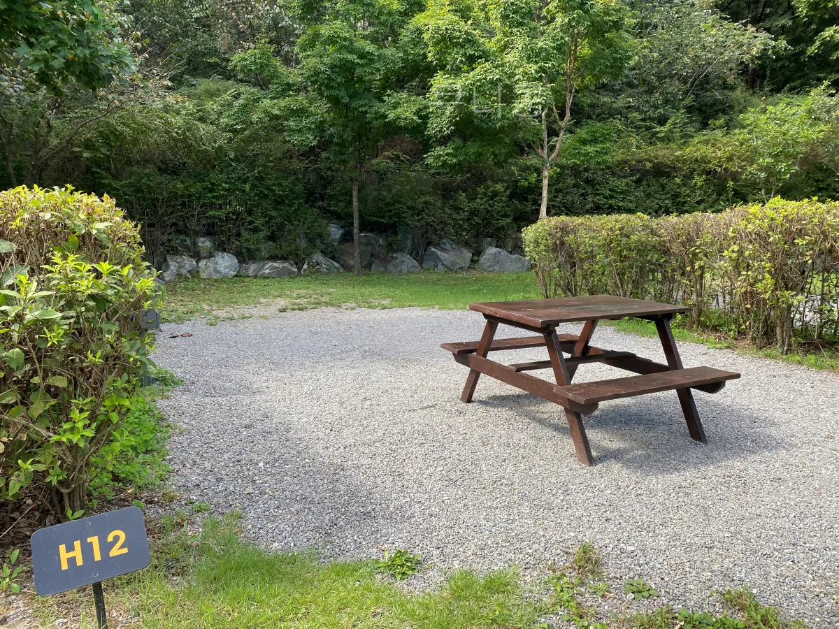 서울근교-당일캠핑-피크닉-가능한-초안산캠핑장-사이트-총정리(주차,통로위치-등)