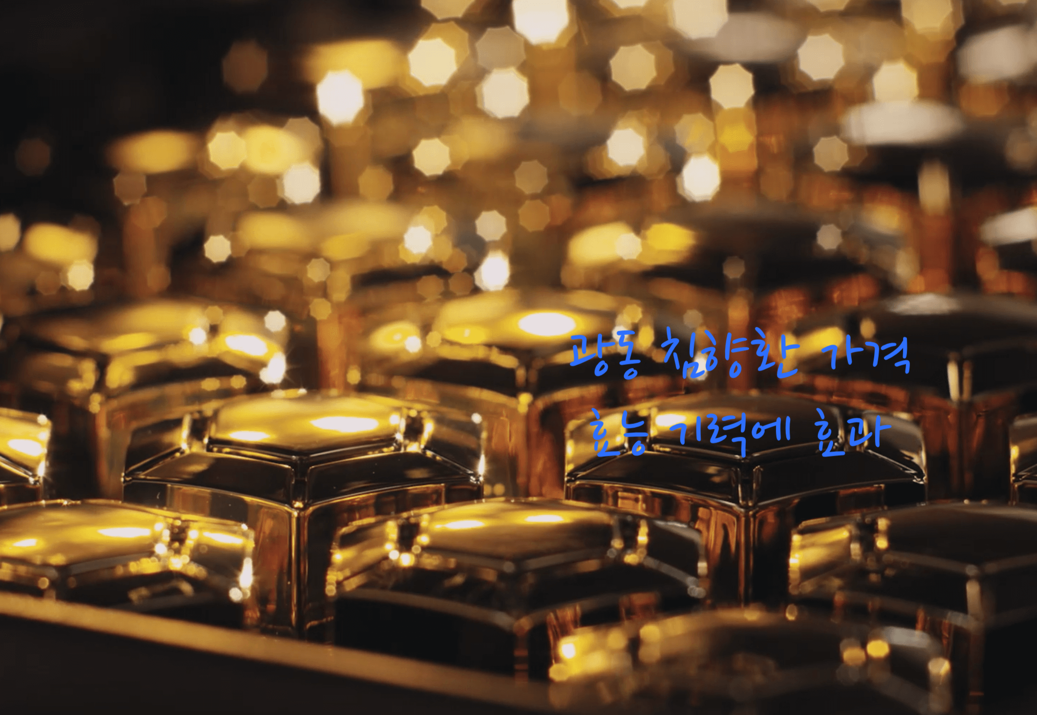 광동 침향환